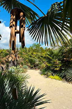 restaurant 77, restaurant atypique, restaurant éphémere, restaurant éphémere 77, masakan, le masakan, restaurant masakan